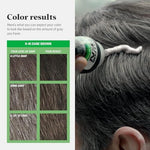 Professional result Just For Men Dark Brown H-45 shampoo-in color