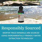 Morter HealthSystem Trace Minerals colloidal suspension brown glass bottle with convenient dropper cap