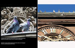 The New York Pigeon - Image 5