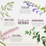 WishGarden Herbs Deep Stress four ounce packaging showing the dropper mechanism and dark amber glass protection.