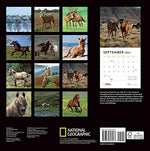 National Geographic: Horses 2024 Wall Calendar - Image 3