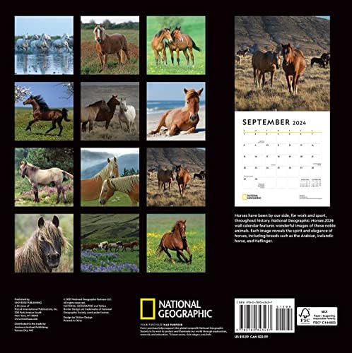 National Geographic: Horses 2024 Wall Calendar - Image 3