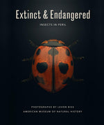 Extinct & Endangered: Insects in Peril - Image 1
