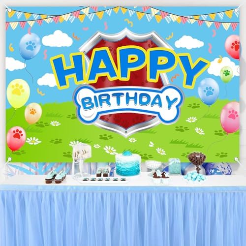 Danilaziya birthday party backdrop paired with colorful balloons for an indoor event.