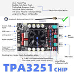 DAMGOO T220HS stereo module top angle highlighting the dual TPA3251 chips