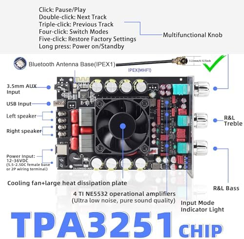 DAMGOO T220HS stereo module top angle highlighting the dual TPA3251 chips