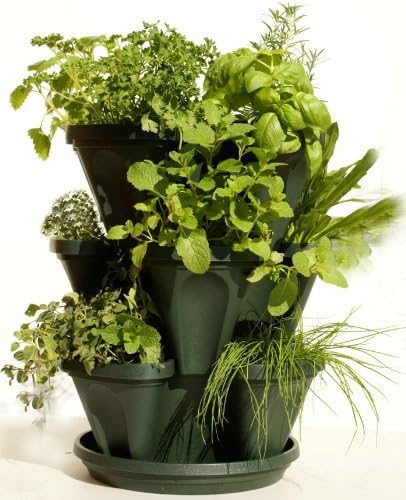 Mr. Stacky vertical herb planter front view