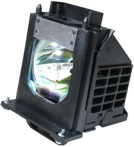 Boryli compatible projection bulb side angle displaying the secure electrical connection terminals.