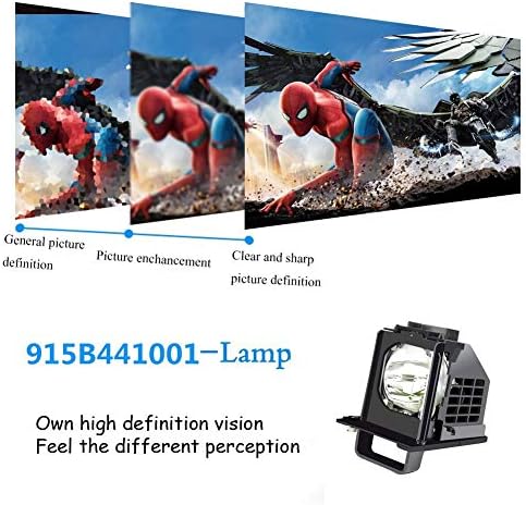 DLP replacement lamp module rear view displaying secure screw points for home electronic repair