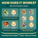Zetelixia Kava Kava relaxation gummies with Ashwagandha and Magnesium warning labels
