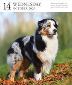 Dog Page-A-DayÂ® Gallery Calendar 2026: An Elegant Canine Celebration - Image 5