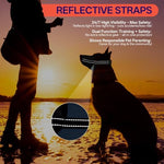 Durable nylon and mesh dog muzzle for grooming