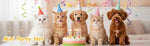 Tucnoeu colorful birthday party hats set