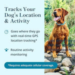 Petivity GPS dog collar tracker attached securely to a dog harness