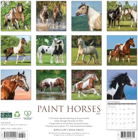 Paint Horses 2026 Wall Calendar - Image 3