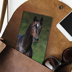 2024-2025 Horses Pocket Planner - Image 7