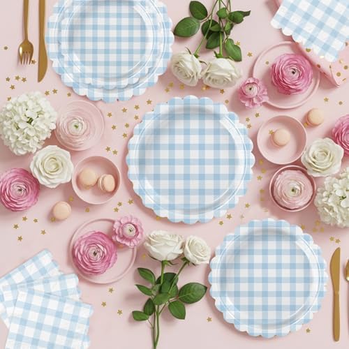 Full set of blue gingham plates napkins and cups for party