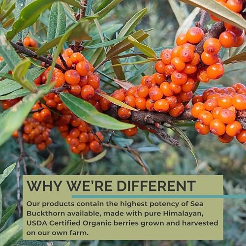 SeabuckWonders sea buckthorn berry and seed oil blend capsule size comparison illustration