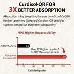 Besibest heart health antioxidant supplement bottle demonstrating third party tested seal verification