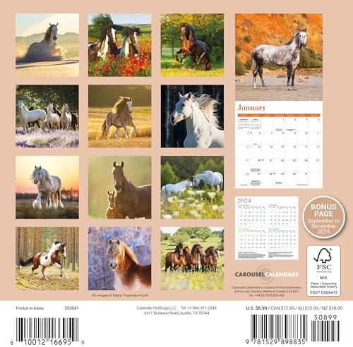 2025 Horses Mini calendar: Plastic Free Packaging - Image 3