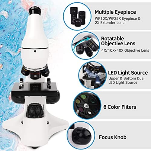 Microscope for Adults Kids, 40X-2000X Compound Biological Monocular Microscope Kit for Kids Students Beginners Lab Home School Education - w/Slides Set, Phone Adapter, Power Adapter (White, Metal) - Image 6