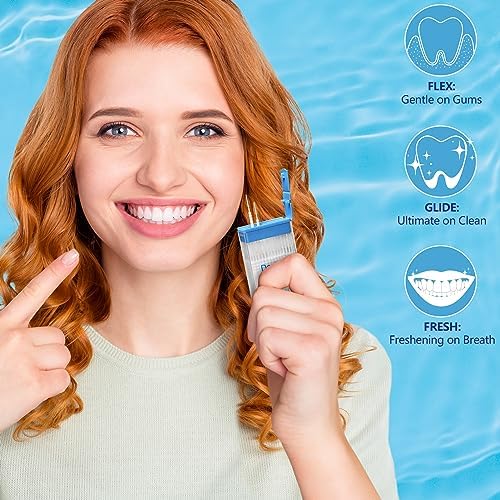 DanTicy 2-in-1 dental floss picks highlighting the soft bristle brush tip