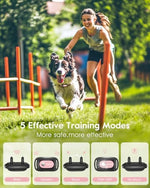 Slopehill electronic dog trainer kit showing remote control and waterproof collar layout