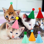 Mini party hats with pom-poms for pets