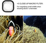 Red and magenta dive filters for professional underwater video