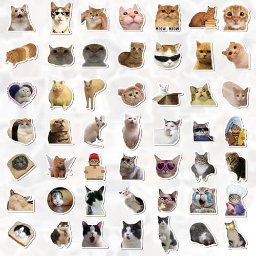 Close up of high quality vinyl meme cat decals
