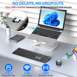 EDJO silent optical mouse showcasing side contoured grip and scroll wheel detail