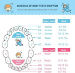 Detailed view of the birth record chart on the Glzyglyfx box