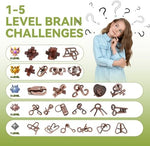 Premium metal disentanglement puzzles from the Mytothfy holiday basket stuffer set.