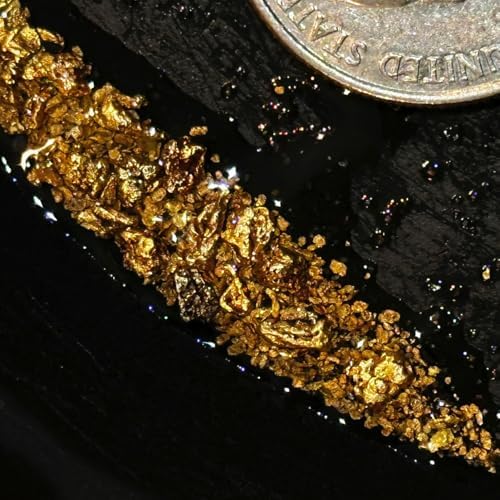 Premium USA imported gold paydirt for prospecting hobbyists