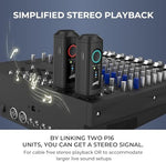 Two SINWE P16 audio receivers arranged together to demonstrate the dual stereo linking feature.