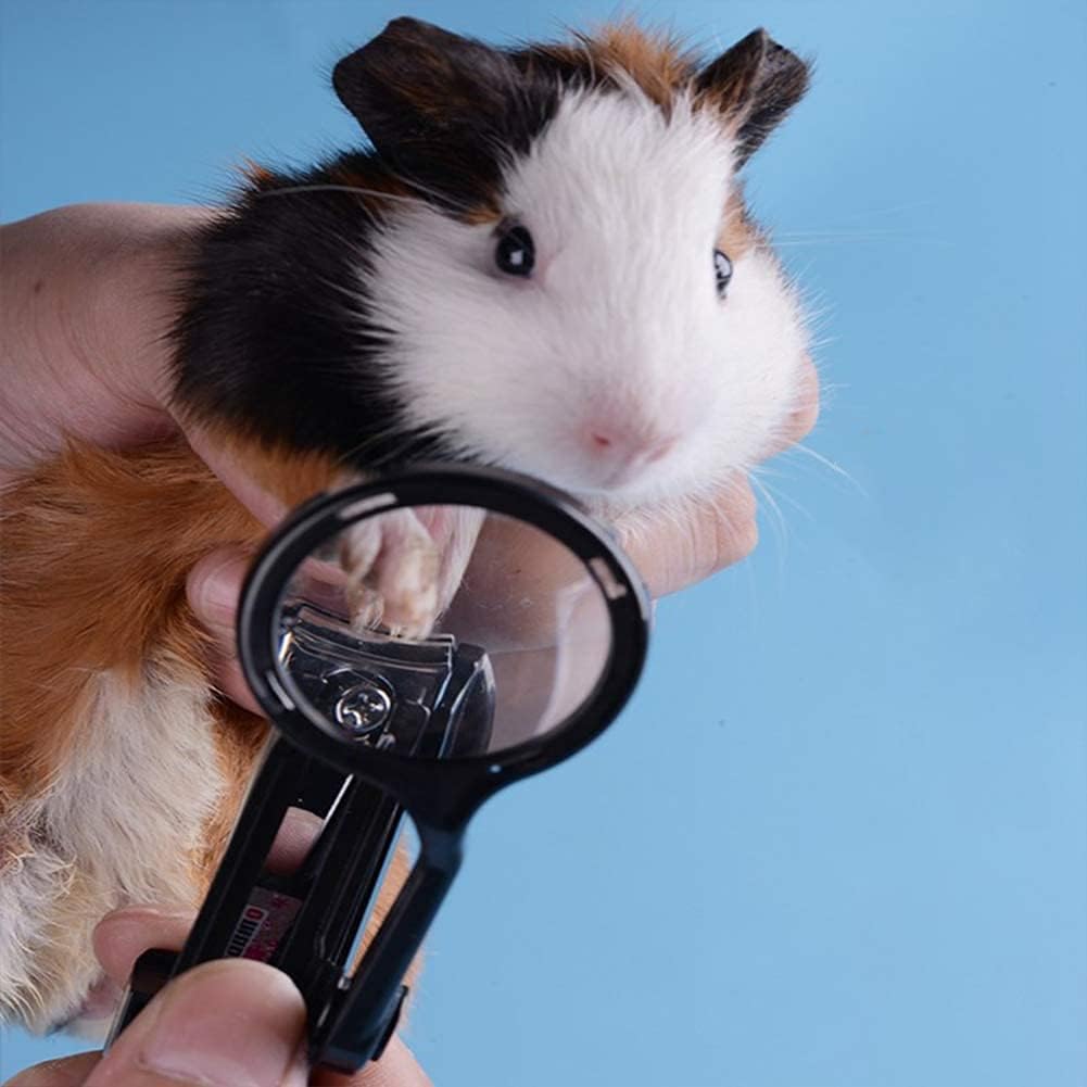 Haichen Tec small animal nail clippers with magnifying glass front view premium pet grooming trimmer