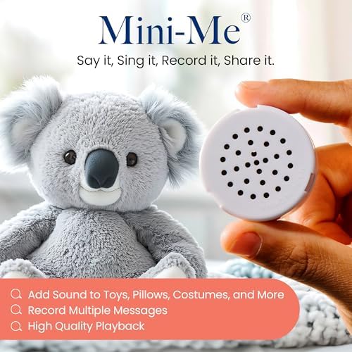 VoiceGift custom voice box for stuffed animals showing the record and play toggle switch interface