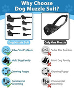 LuckyPaw dog muzzle used during a professional grooming session