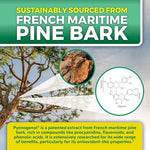French maritime pine bark extract supplement bottle showing clear ingredient facts label.