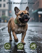 Jugbow dog training remote with security lock feature display