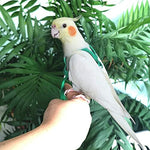 Close up of the chew resistant nylon material on the Asocea bird leash