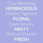 Plant Therapy catnip essential oil bottle size reference