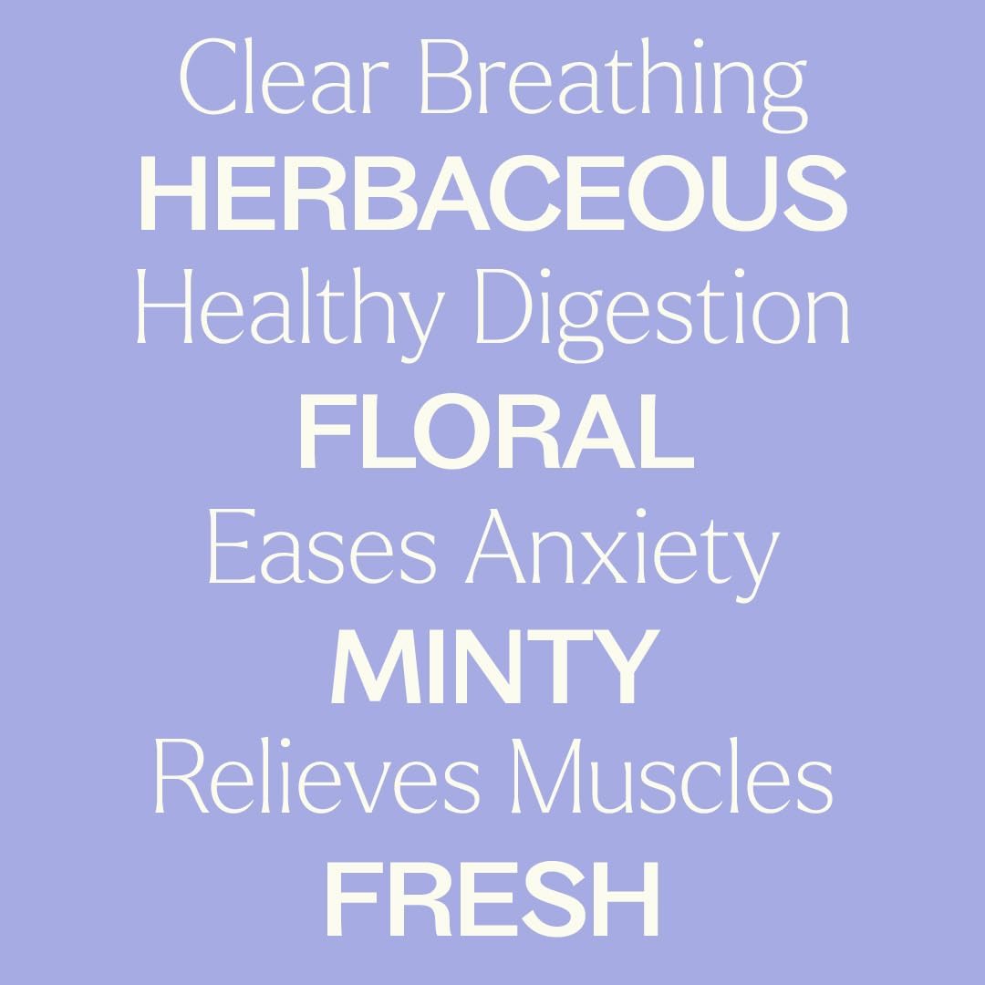 Plant Therapy catnip essential oil bottle size reference