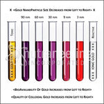 Nutraneering MediGOLD True Colloidal Gold 20 ppm Concentration