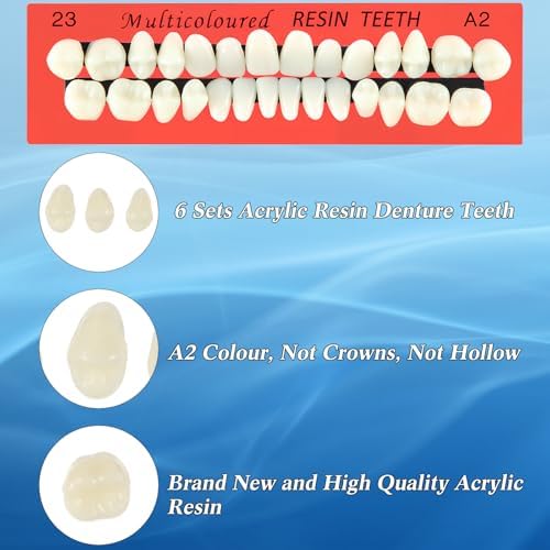 Six sets of artificial denture teeth on acrylic storage boards