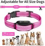 DOGLinsen pet training system with USB-C charging cable