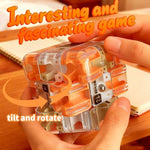 Hands playing with Popomr 3D brain teaser puzzle