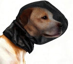 Breathable mesh face shield for dogs hiking side profile