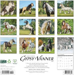 Gypsy Vanner Horse 2026 Wall Calendar - Image 3