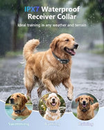 Patpet dog training collar remote interface with intensity levels
